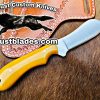 Black Smith Made Of D2 Steel Full Tang Blade Bull Cutter Knife…